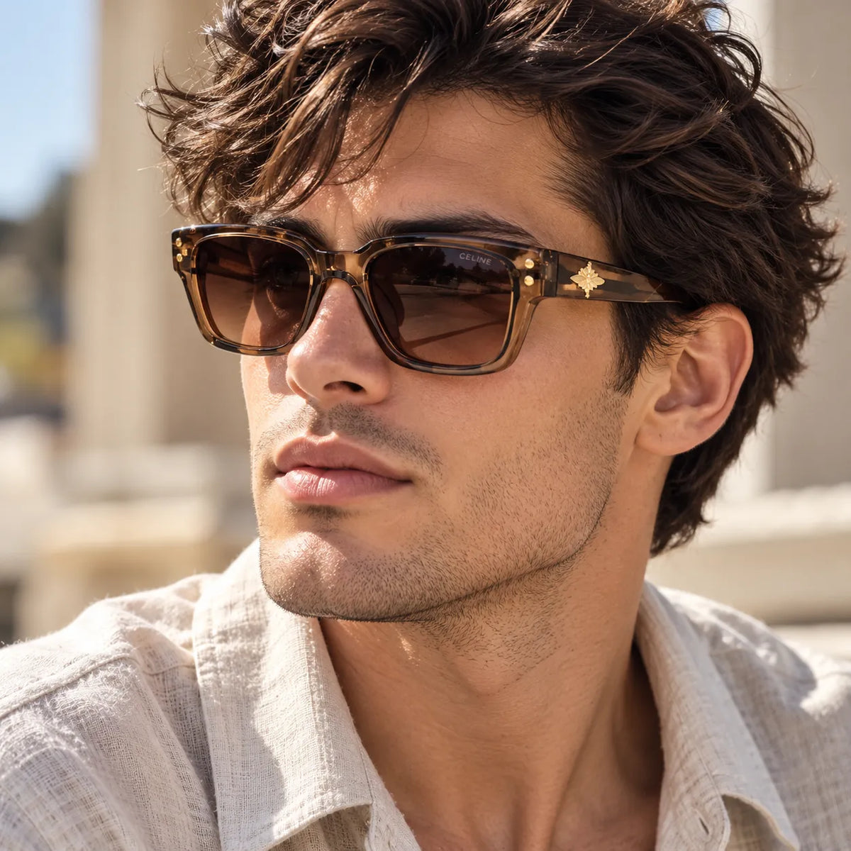 Celine Smoky Brown Square Sunglasses with Gold Bee Emblem